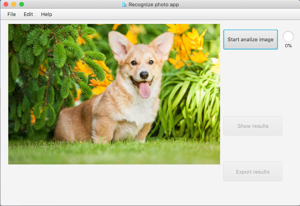 recognize-photo-app.png